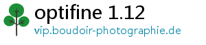 optifine 1.12